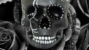 DIODI x Elegia Kallo