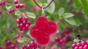 DIODI Taikakarpalo 16_9